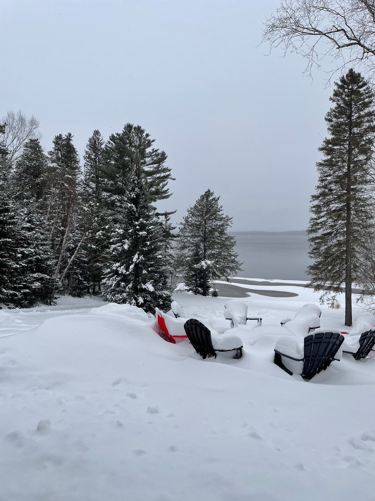 SZNS cottage photo